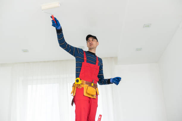 Professional Painting & Drywall Installation in Belleair Bluffs, FL